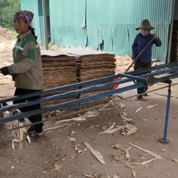 Quy trình sản xuất ván lạng, ván bóc tại Huy Sơn Thịnh